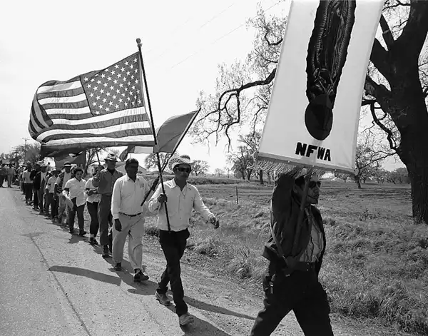 Sowing Change Inquiry: The Delano Grape Strike and Boycott
