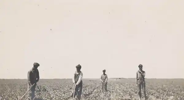 Asian American and Pacific Islander Workers' Organizing