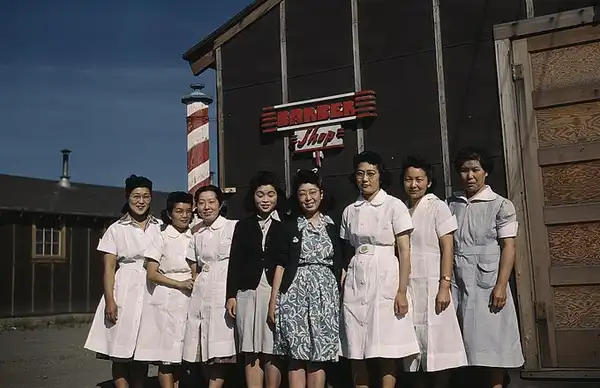 Asian Immigration Timelines