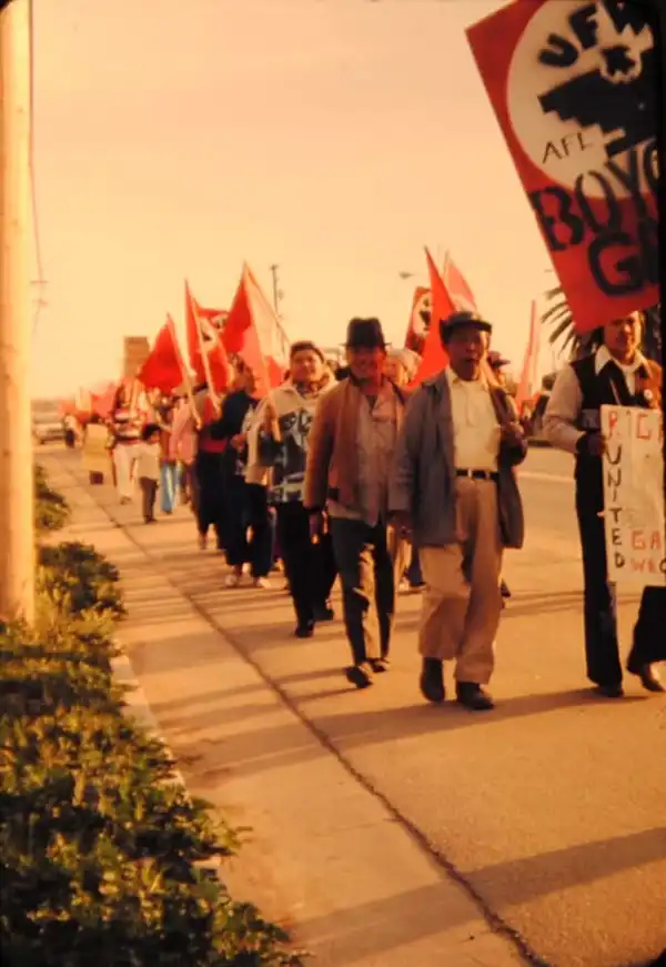 Labor & Activism of Filipino Farmworkers